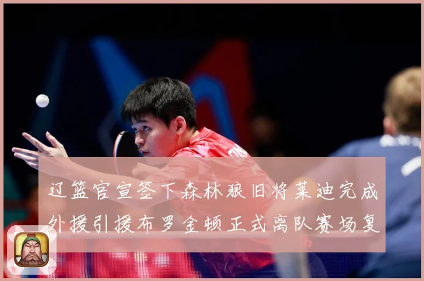 辽篮官宣签下森林狼旧将莱迪完成外援引援布罗金顿正式离队赛场复盘